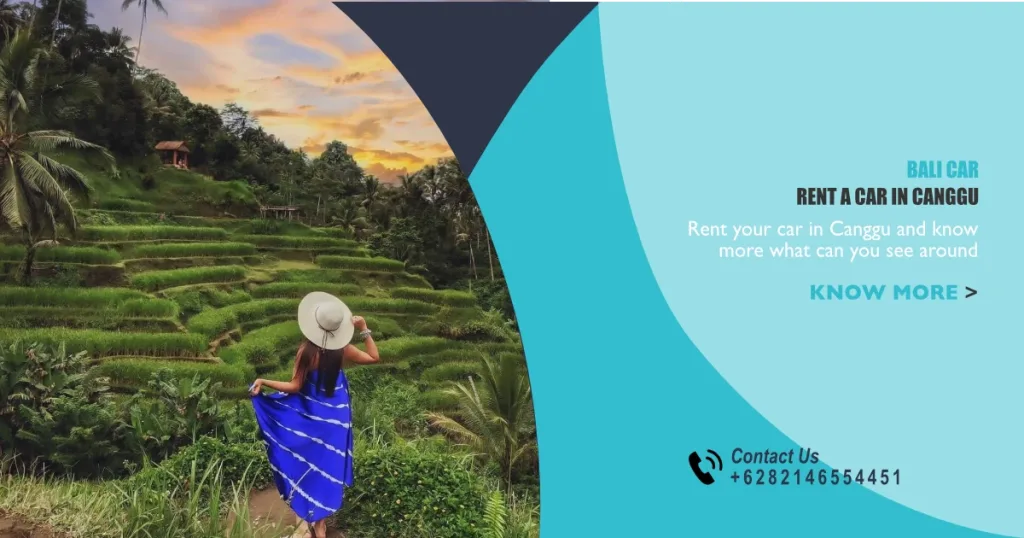 Bali car rental in canggu explore rice terrace