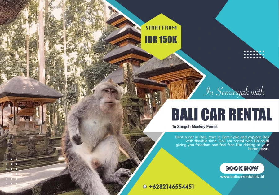 visit Sangeh monkey forest with Bali Car Rental